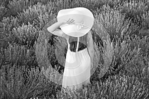 beautiful girl in lavender field surrounded by flowers. teenage girl at lavender flowers in garden. cute girl in white