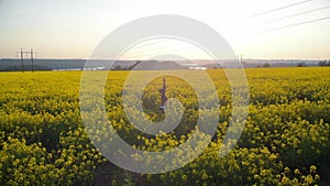 Beautiful girl is practicing yoga meditation on a yellow flowering field. Aerial footage