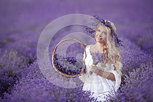 Beautiful girl on purple lavender filed in Valensole. Provence,