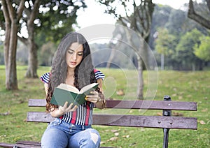 Beautiful girl reading a book