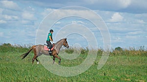 Beautiful girl riding a horse in countryside. Trot