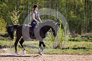 Beautiful girl riding a horse on manege