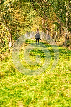 Beautiful girl riding a horse riding without a saddle in a autumn forest, seen from behind