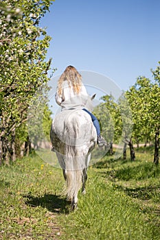 Beautiful girl riding a horse on a white horse in the garden