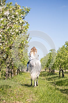 Beautiful girl riding a horse on a white horse in the garden