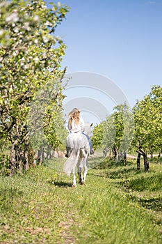 Beautiful girl riding a horse on a white horse in the garden