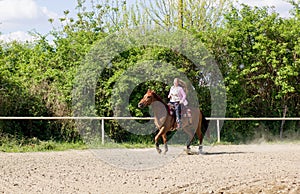 Beautiful girl riding a purebred horse