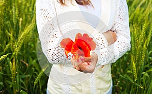 Beautiful girl standing in a wheat field and holding red flowers in her hands