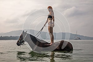A beautiful girl stands on a horse in the water. Brown horse.