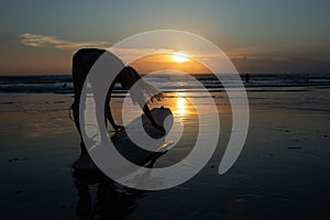 beautiful girl with a surfboard at sunset.