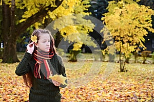 beautiful girl in sweater and scarf holds bouquet of yellow maple leaves. One leaf in hair. Teenage girl walks in autumn park