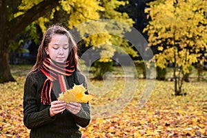 beautiful girl in sweater and scarf holds bouquet of yellow maple leaves outdoors. Teenage girl walks in an autumn park