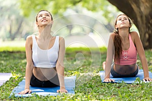 Beautiful girl teen model doing yoga group for healthy in the park outdoor. upward facing dogBhujangasana posture