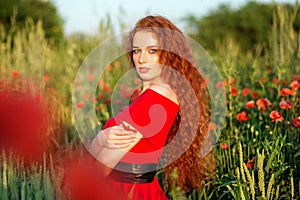 Beautiful girl with very long red hair. Poppy field. Red dress. The concept of health, nature, cosmetics and care
