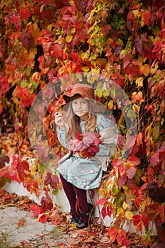 Beautiful girl in a vintage dress and a hat in the autumn garden, a wall of red leaves