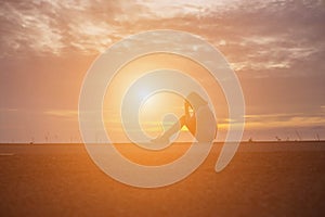 Beautiful girl watching the beautiful sunset on the water photo