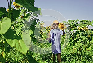 beautiful girl wear straw summer hat in field. pretty kid with flower. beauty of summer nature. little girl in sunflower