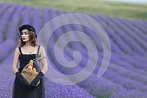 Beautiful girl is wearing fashion dress at field of lavender