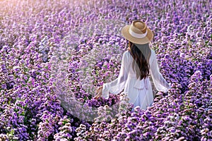 Beautiful girl in white dress enjoying in Margaret flowers fields