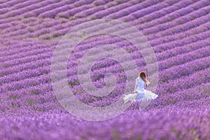 Beautiful girl in a white dress enjoying summer in a lavender field at sunset