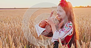 Beautiful girl woman in traditional Bulgarian folklore dress holding wicker crate with homemade breads in wheat field