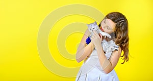 Beautiful girl on a yellow background holds in her arms and hugs a little cute kitten.