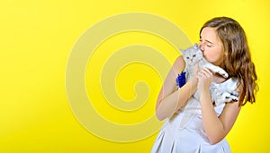 Beautiful girl on a yellow background holds in her arms and hugs a little cute kitten