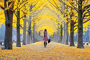 Beautiful Girl with Yellow Leaves in Nami Island, Korea