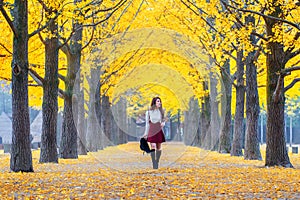 Beautiful Girl with Yellow Leaves in Nami Island, Korea