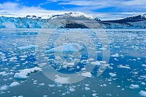 A beautiful glacier face in alaska