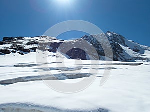 Beautiful glacier hike and clim to Weisskugel mountain