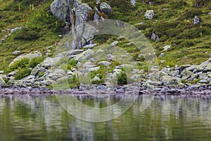 Beautiful glacier valley in the Alps in summer