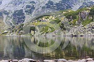 Beautiful glacier valley in the Alps in summer