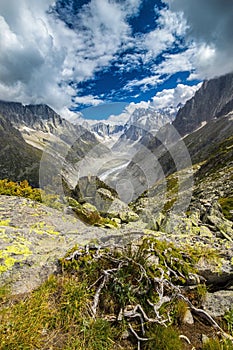 Beautiful glacier valley in the Alps in summer