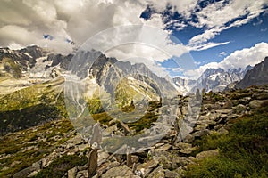 Beautiful glacier valley in the Alps in summer