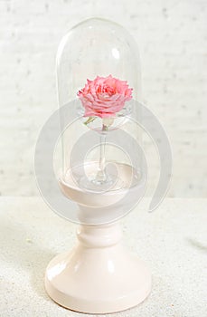 Beautiful glass with pink rose