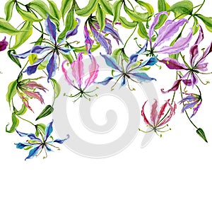Beautiful gloriosa flowers on climbing twigs on white background. Seamless pattern. Floral border. Watercolor painting.