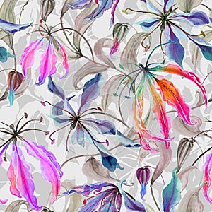 Beautiful gloriosa lily flowers with climbing leaves on gray background. Seamless floral pattern. Watercolor painting. photo