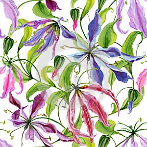 Beautiful gloriosa lily flowers with climbing leaves on white background. Seamless floral pattern. Watercolor painting. photo