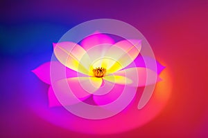 Beautiful glowing flowers. Aurora Blooms. The Mesmerizing Glow of Flowers. Generative AI