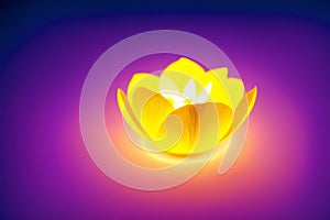 Beautiful glowing flowers. Aurora Blooms. The Mesmerizing Glow of Flowers. Generative AI