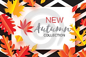 Beautiful Gold Autumn paper cut leaves. Hello Autumn. September flyer template. Rectangle frame. Space for text. Origami