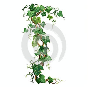 beautiful gold and green Ivy clipart illustration photo