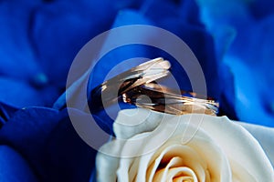 Beautiful gold wedding rings with patterns, close-up. Two gold rings, blurred background with white and blue flowers