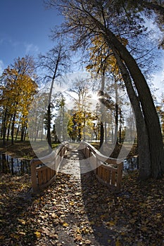 Beautiful golden autumn manor park with path and bridge