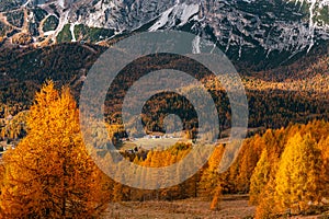 Beautiful golden autumn in the mountains. natural background. Dolomites Alps, Italy. autumn landscape