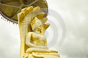 Beautiful golden Bhudda image with covers