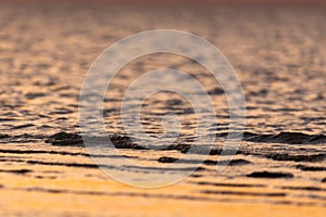 Beautiful golden colors of sunset over sea waves