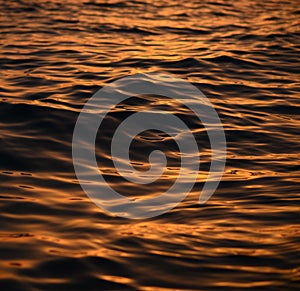 Beautiful golden colors of sunset over sea waves