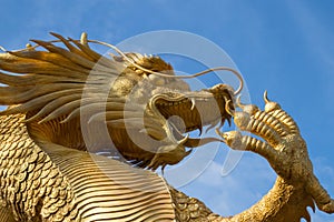 Beautiful golden dragon statue forced power gold sky yellow